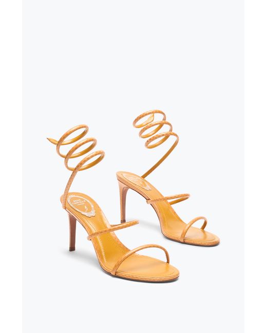 Sandale Cleo En Cuir D'Ayers Ocre 80 Rene Caovilla en coloris Pink