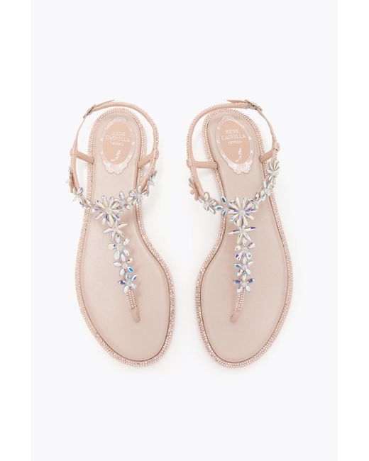 Rene Caovilla Multicolor Eva Nude Thong Sandal 10