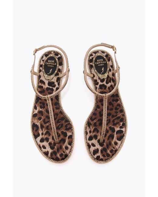 Rene Caovilla White Diana Animalier Sandal With Crystals 10