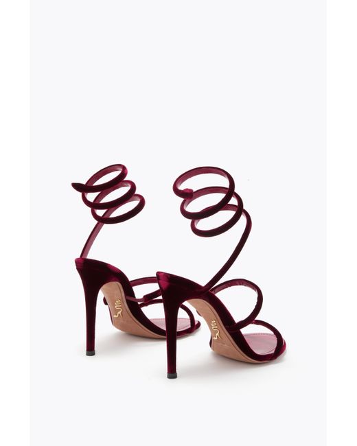 Rene Caovilla Pink Cleo Ruby Velvet Sandal 105