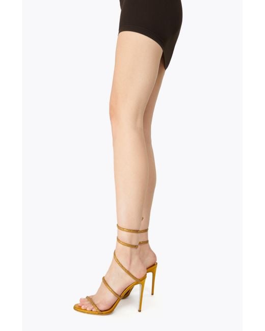 Rene Caovilla Metallic Cleo Mustard Sandal 105