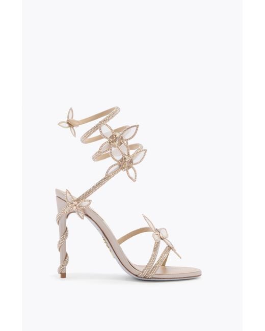 Rene Caovilla White Margot Champagne Sandal With Butterflies 105
