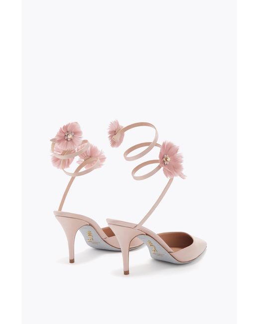 Rene Caovilla Pink Jolene Powder Pump 80
