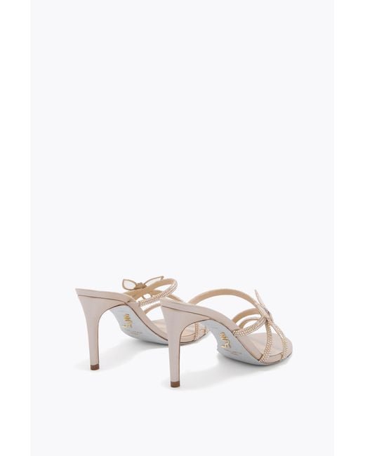 Rene Caovilla White Butterflower Champagne Mule 80
