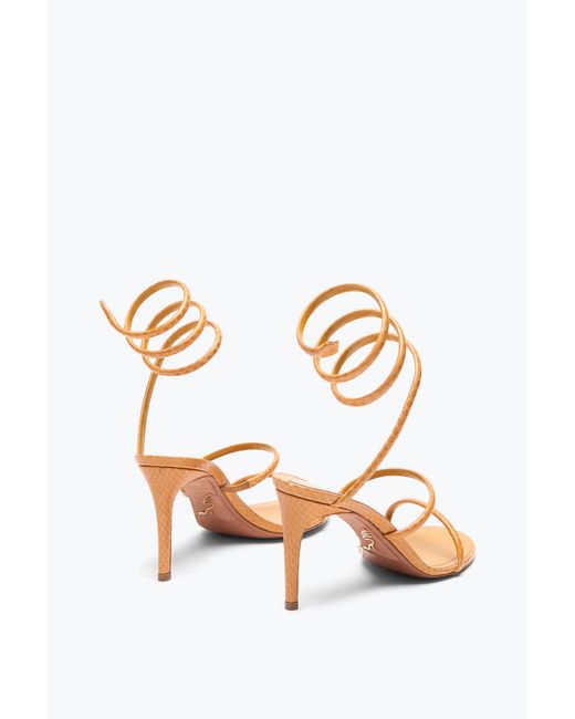 Sandale Cleo En Cuir D'Ayers Ocre 80 Rene Caovilla en coloris Pink