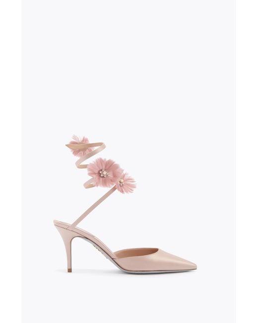 Rene Caovilla Pink Jolene Powder Pump 80