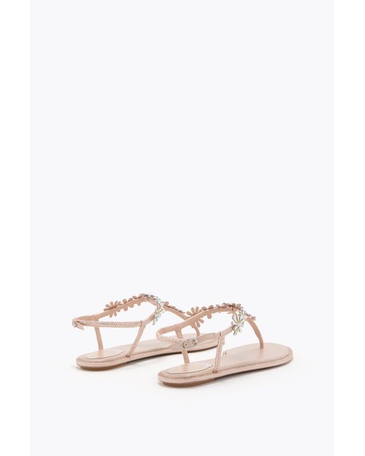 Rene Caovilla Multicolor Eva Nude Thong Sandal 10