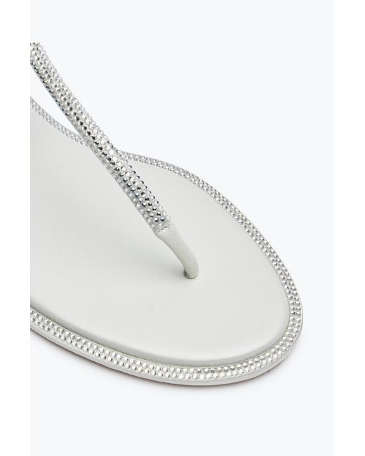 Rene Caovilla White Diana Ivory Satin/C.Moonlight Strass Thong