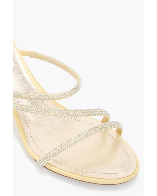 Rene Caovilla White Erin Lemon Mule 50