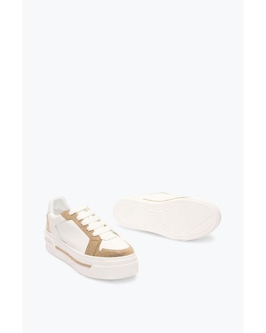 Sneaker Xtra-Or Avec Cristaux 50 Rene Caovilla en coloris White