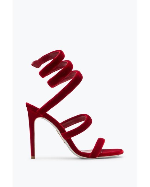 Sandale Cleo En Velours Rubis 105 Rene Caovilla en coloris Red