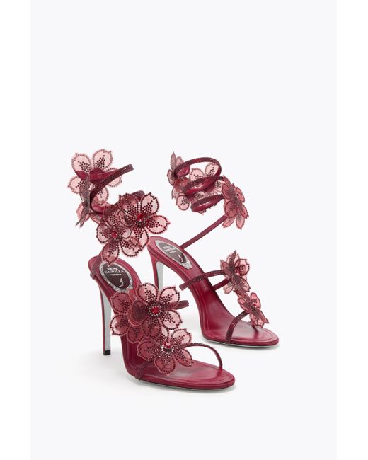 Rene Caovilla Pink Peach Flower Burgundy Sandal 105
