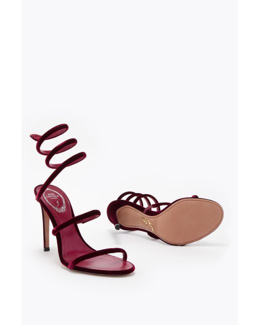Rene Caovilla Pink Cleo Ruby Velvet Sandal 105