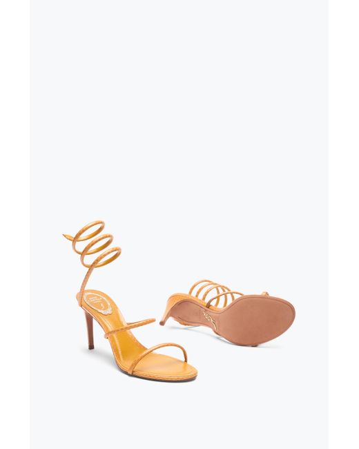 Sandale Cleo En Cuir D'Ayers Ocre 80 Rene Caovilla en coloris Pink