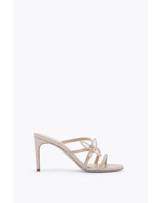 Rene Caovilla White Butterflower Champagne Mule 80