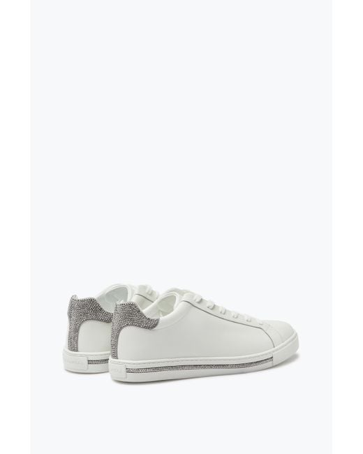 Rene Caovilla White Xtra And Sneaker 15