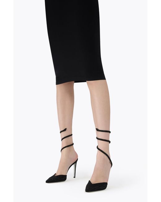 Rene Caovilla Black Cleo Pump