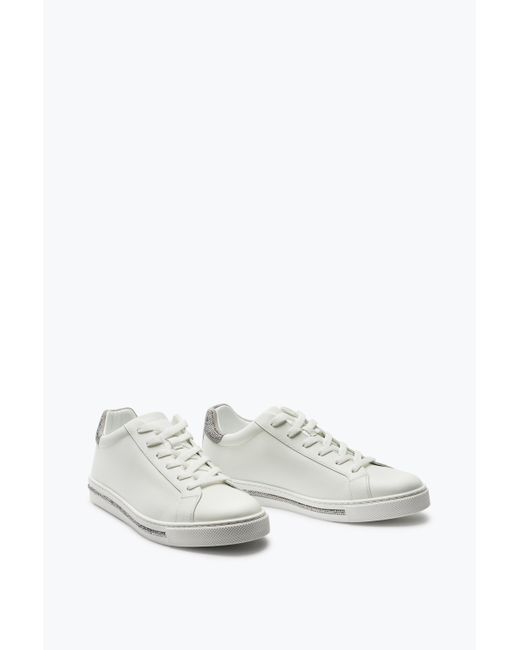 Rene Caovilla White Xtra And Sneaker 15