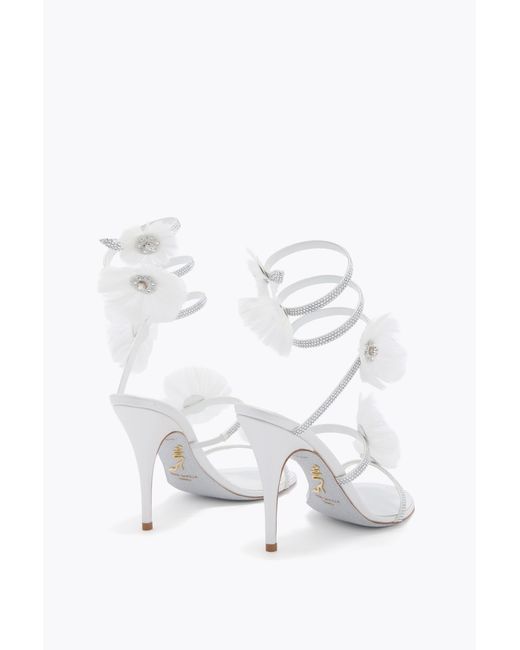 Rene Caovilla White Jolene Sandal 100