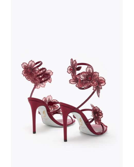 Rene Caovilla Pink Peach Flower Burgundy Sandal 105