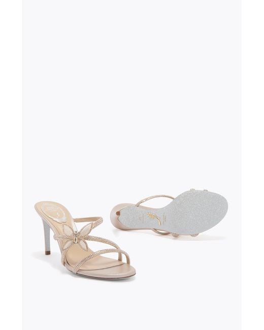 Rene Caovilla White Butterflower Champagne Mule 80