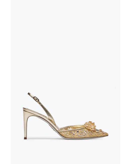 Rene Caovilla Metallic Cinderella Golden Slingback 80