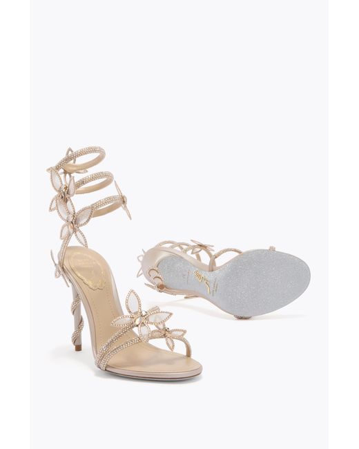 Rene Caovilla White Margot Champagne Sandal With Butterflies 105