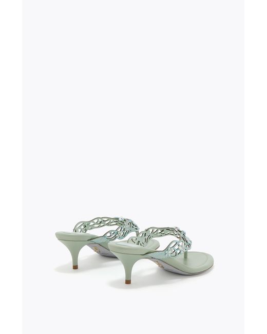 Rene Caovilla White Eden Mint Thong Mule 50