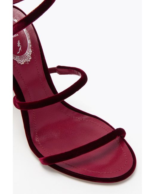 Rene Caovilla Pink Cleo Ruby Velvet Sandal 105