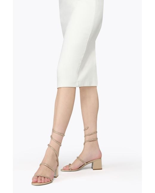 Rene Caovilla White Cleo Sandal 50