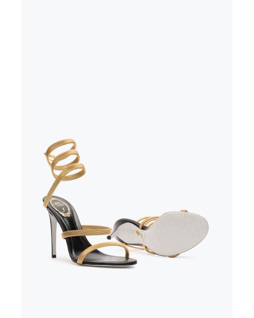 Rene Caovilla Metallic Trigold Cleo- Sandal 105