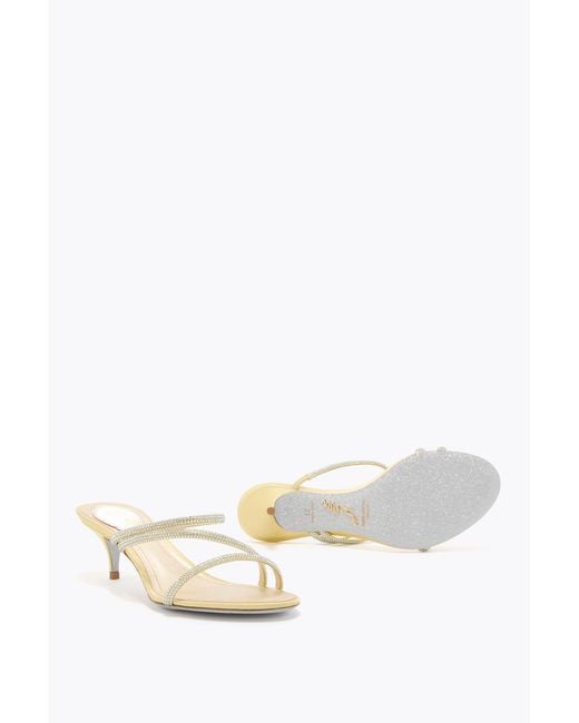 Rene Caovilla White Erin Lemon Mule 50