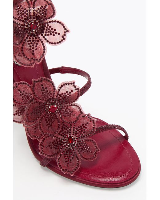 Rene Caovilla Pink Peach Flower Burgundy Sandal 105