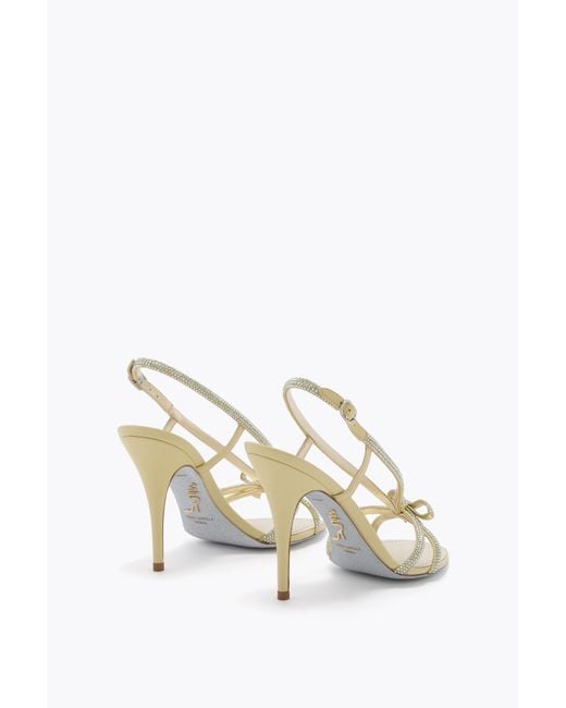 Rene Caovilla White Lynette Butter Sandal 100