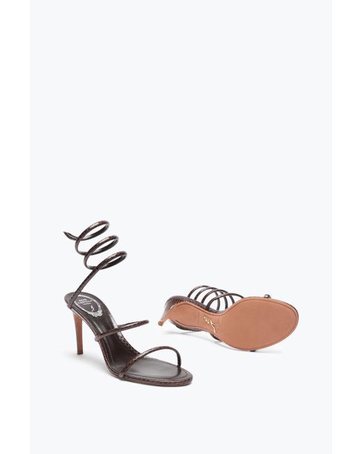 Sandale Cleo En Cuir D'Ayers 80 Rene Caovilla en coloris White