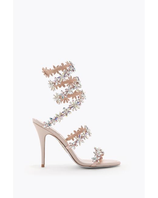 Rene Caovilla White Eva Nude Sandal 100