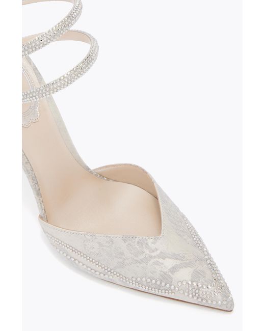 Rene Caovilla Gray Cleo Pump
