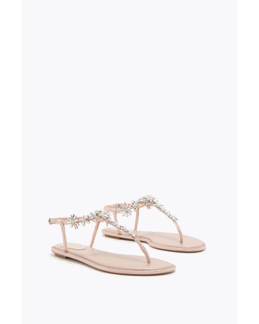 Rene Caovilla Multicolor Eva Nude Thong Sandal 10