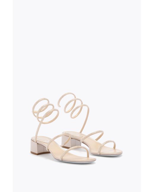 Rene Caovilla White Sandalo Cleo Oro 40