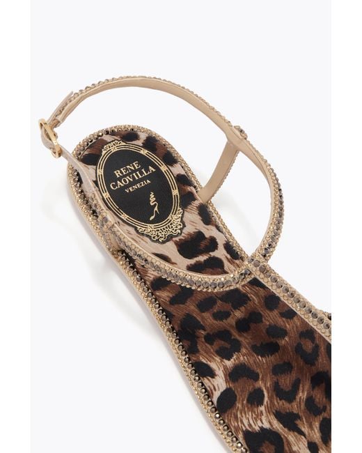 Rene Caovilla White Diana Animalier Sandal With Crystals 10