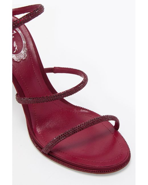 Rene Caovilla Pink Cleo Burgundy Sandal 80