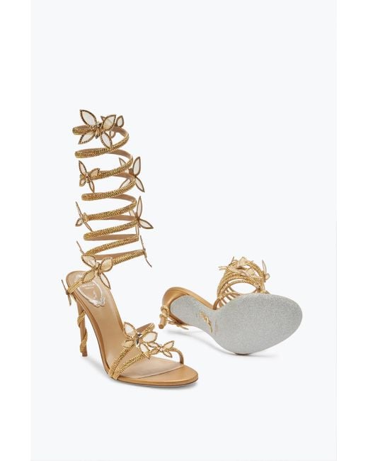 Sandalo Margot Farfalle Con Cristalli 105 di Rene Caovilla in White