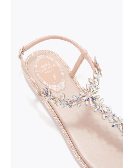 Rene Caovilla Multicolor Eva Nude Thong Sandal 10