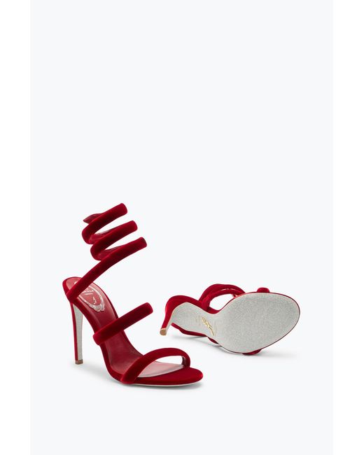 Rene Caovilla Red Cleo Ruby Velvet Sandal 105
