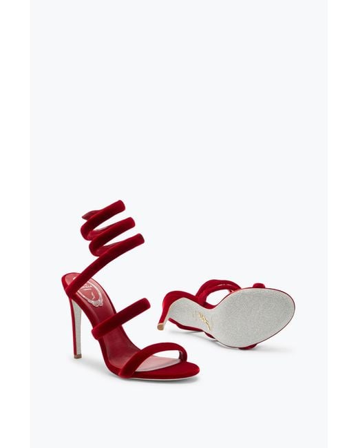 Sandale Cleo En Velours Rubis 105 Rene Caovilla en coloris Red
