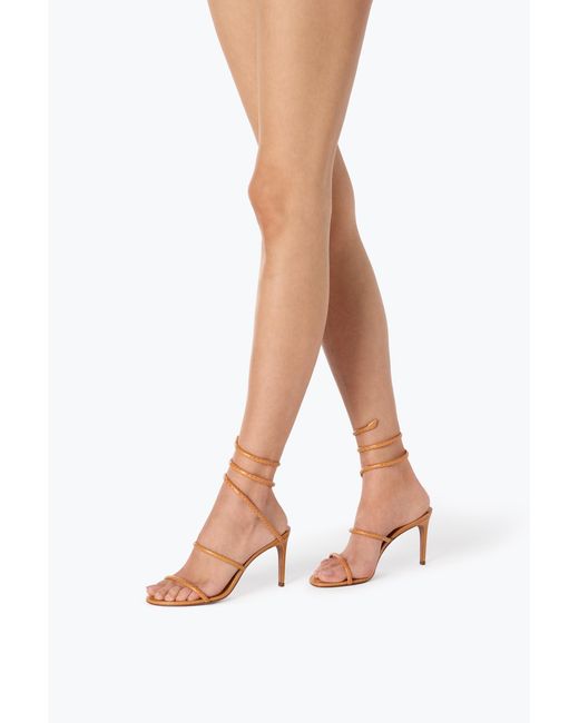 Sandale Cleo En Cuir D'Ayers Ocre 80 Rene Caovilla en coloris Pink