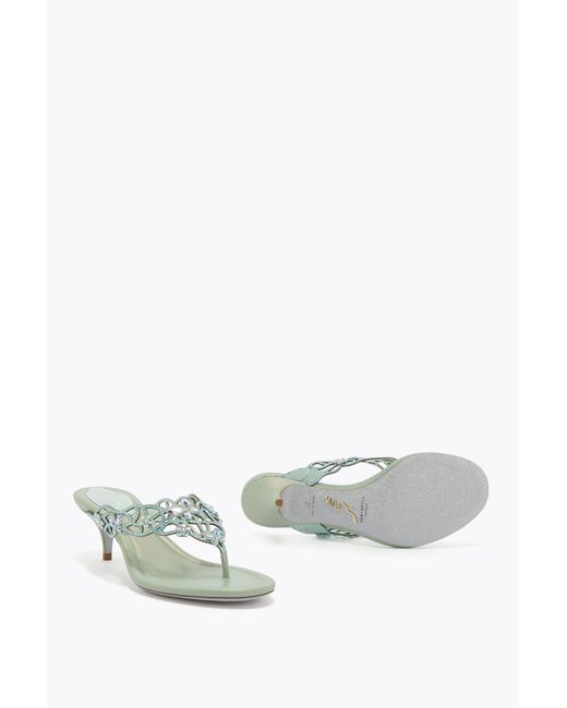 Rene Caovilla White Eden Mint Thong Mule 50