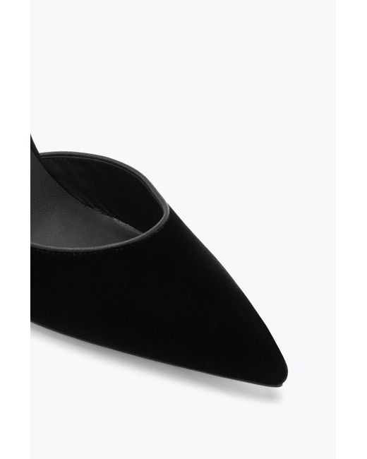 Rene Caovilla Black Pumps
