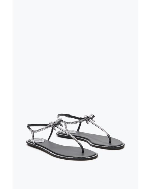 Rene Caovilla White Caterina Thong Sandal 10