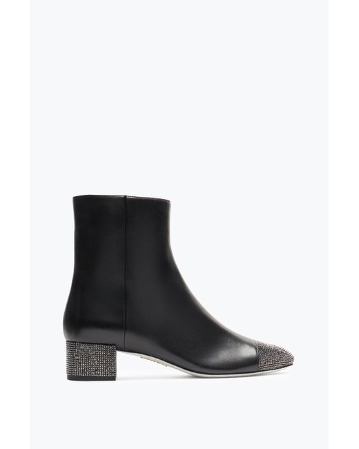 Rene Caovilla Black Bonnie Ankle Boot